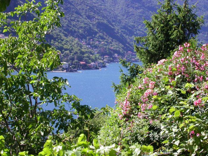 Sonia - Musica & Aperol Panorama-Fewo Apartment Pognana Lario ภายนอก รูปภาพ